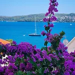 Ana Τρογκίρ