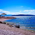 Ana Τρογκίρ