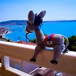 Ana * Τρογκίρ