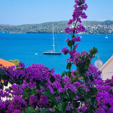 Ana Τρογκίρ