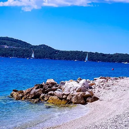 Ana Τρογκίρ