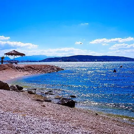 Ana Τρογκίρ