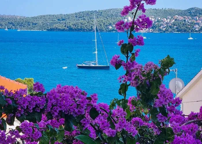 Ana Trogir